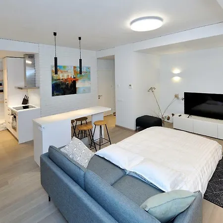 Fashion One Bedroom In City Centre Κάουνας